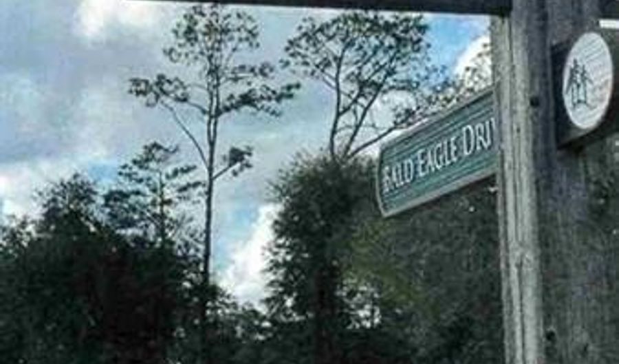 STEEPLECHASE Drive lot 355, Abita Springs, LA 70420 - 0 Beds, 0 Bath
