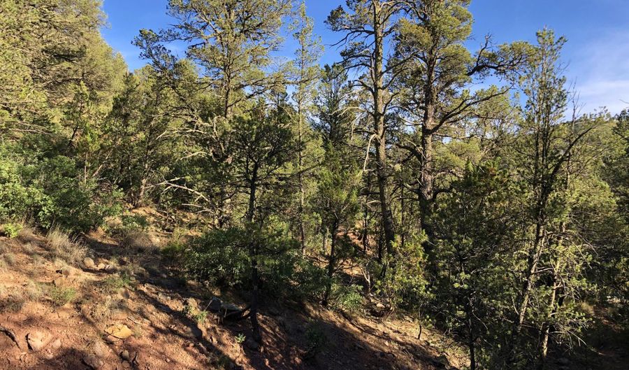 TRACT 2 COPPER CANYON Road, Alto, NM 88312 - 0 Beds, 0 Bath