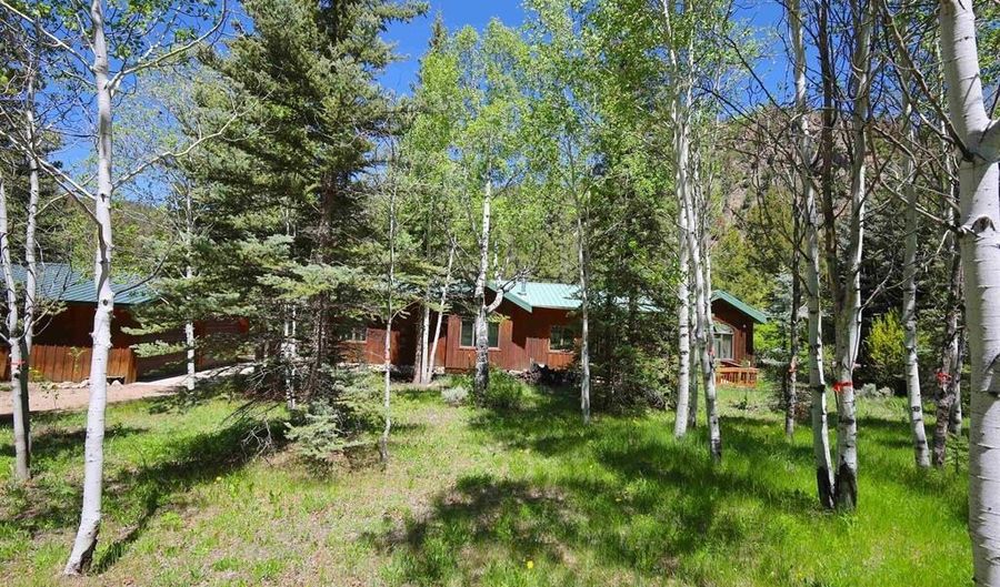 11109 County Road 742, Almont, CO 81210 - 3 Beds, 2 Bath