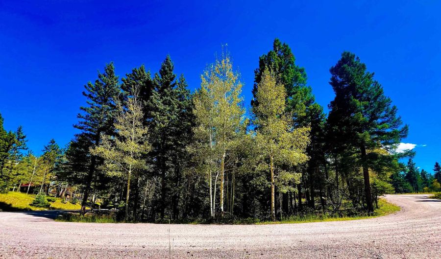 Calle de los Indios lot 71, Angel Fire, NM 87710 - 0 Beds, 0 Bath