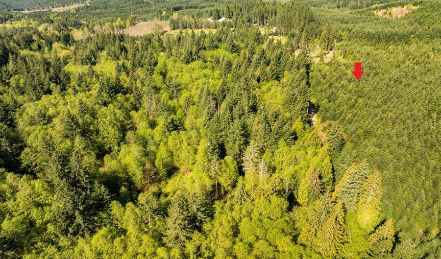 NW Hidden Mountain Dr, Banks, OR 97106 - 0 Beds, 0 Bath