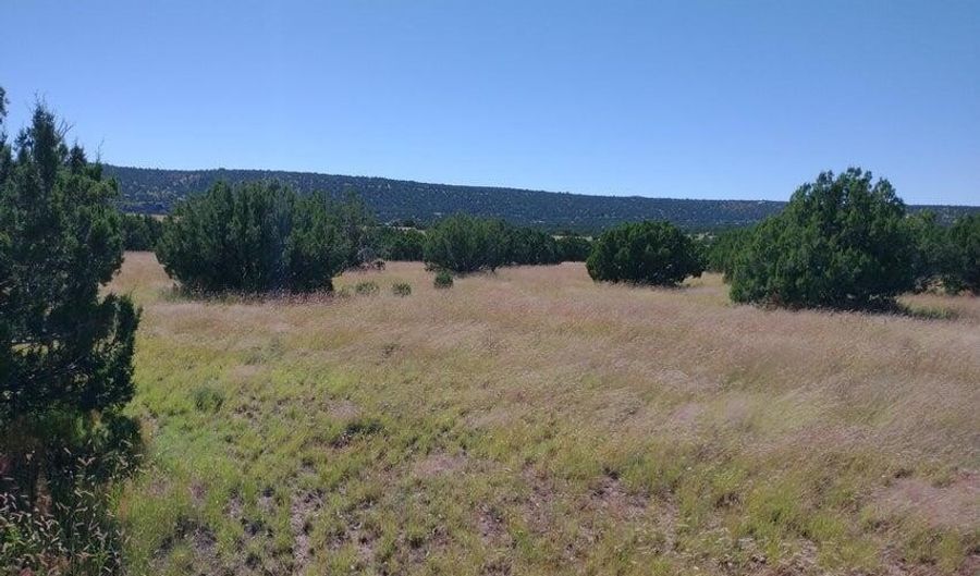 71 ACR 8001 632, Concho, AZ 85924 - 0 Beds, 0 Bath