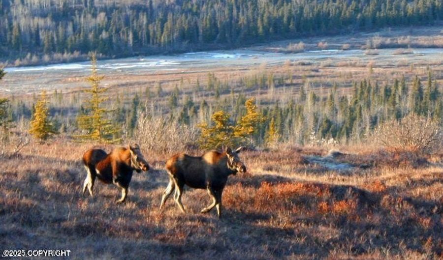 L2 Purinton Creek Trail, Chickaloon, AK 99674 - 0 Beds, 0 Bath