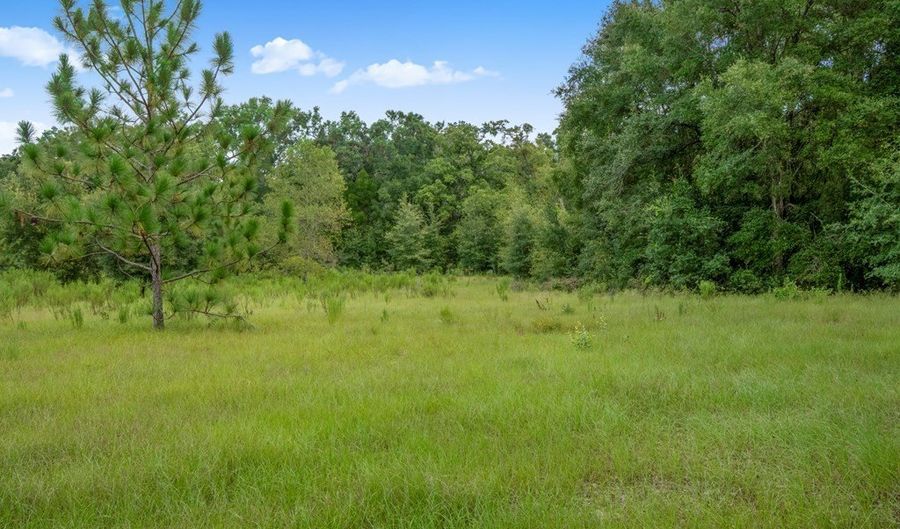 3749 SW 22nd Pl, Bell, FL 32619 - 2 Beds, 2 Bath