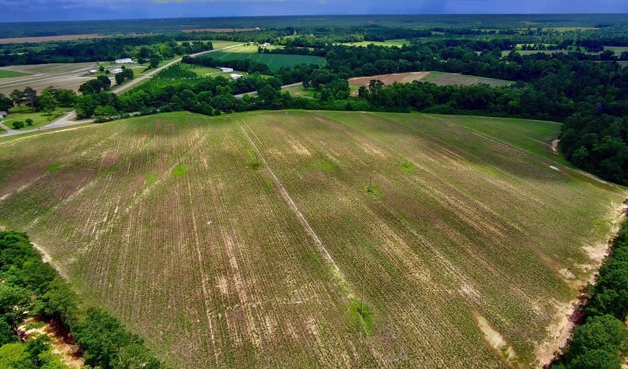 0 N County Rd. 75, Ashford, AL 36312 - 0 Beds, 0 Bath