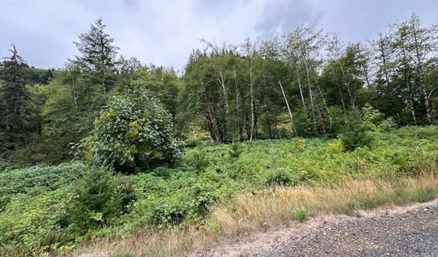1 N Dubois Rd, Ariel, WA 98603 - 0 Beds, 0 Bath