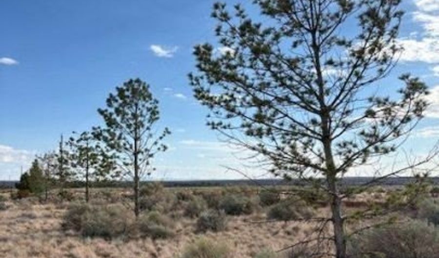 3 S School Bound Rd - Parcel Number 404-24-198-C, Colorado City, AZ 86022 - 0 Beds, 0 Bath