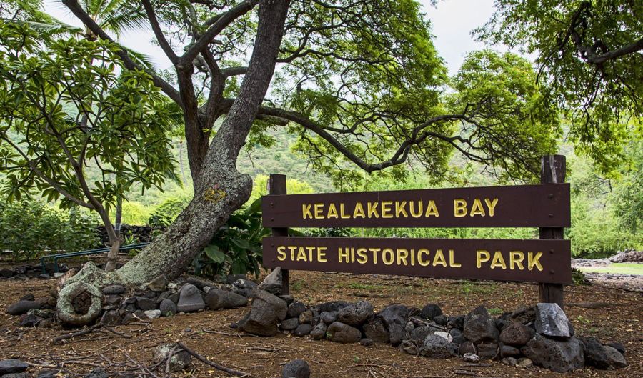 83-1021 KAHAULOA Pl, Captain Cook, HI 96704 - 0 Beds, 0 Bath
