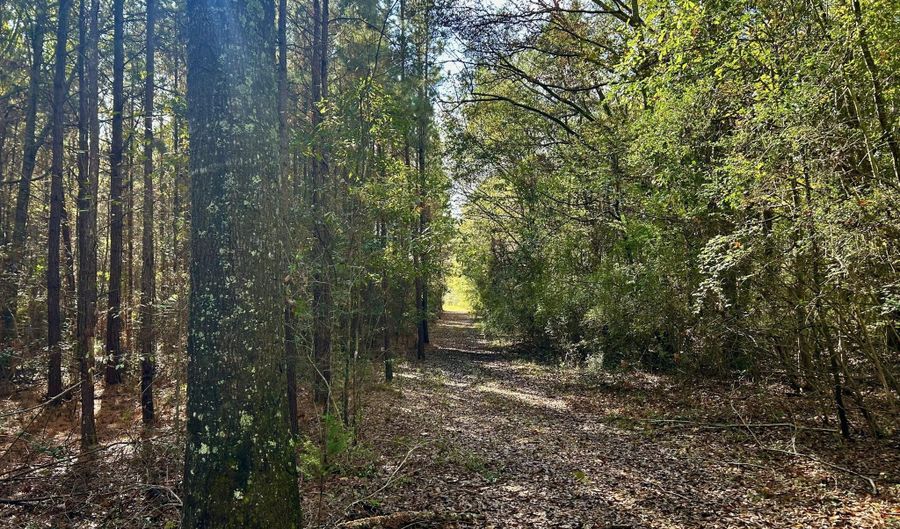 Watts Ln NW, Brookhaven, MS 39601 - 0 Beds, 0 Bath