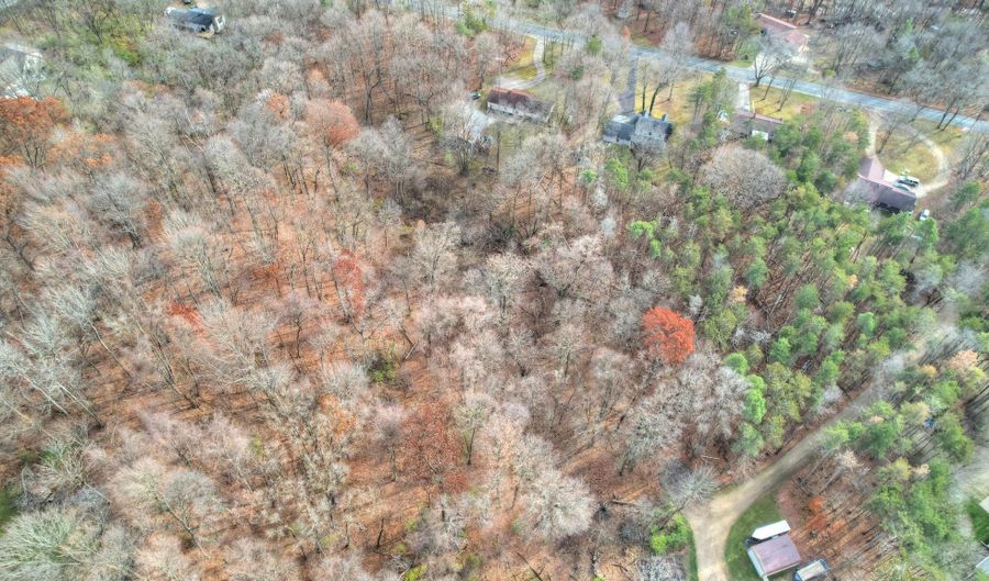 3615 Allegan Dam Road Lot A, Allegan, MI 49010 - 0 Beds, 0 Bath