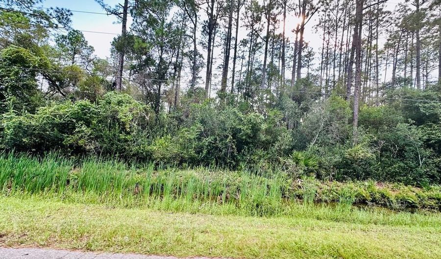 Peachtree Rd lot 56N, Apalachicola, FL 32320 - 0 Beds, 0 Bath