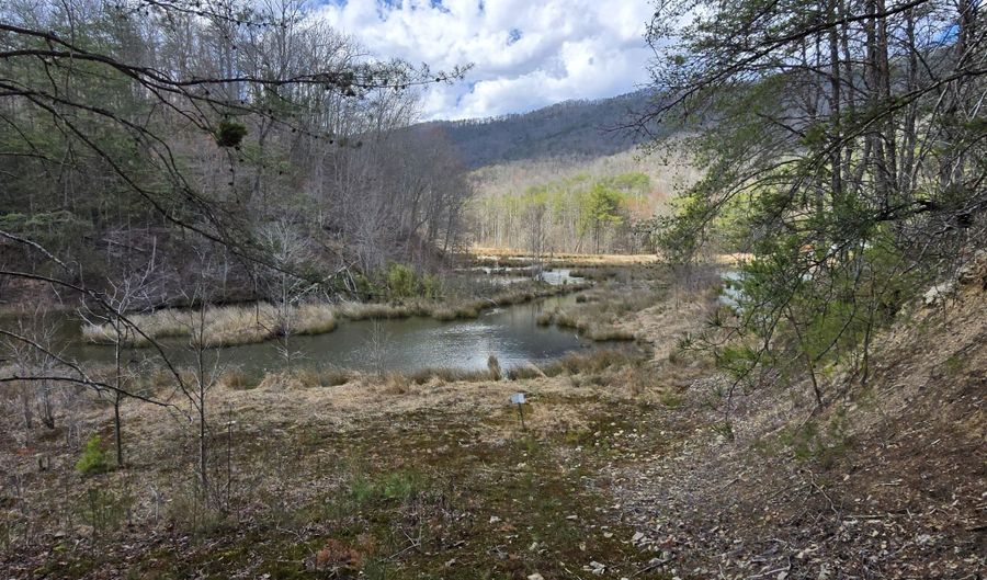 Steve Brown Rd, Bean Station, TN 37708 - 0 Beds, 0 Bath