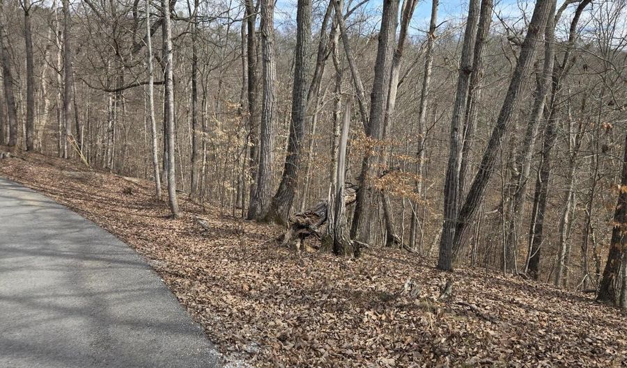 Stoneway Court lot 937, Baneberry, TN 37890 - 0 Beds, 0 Bath