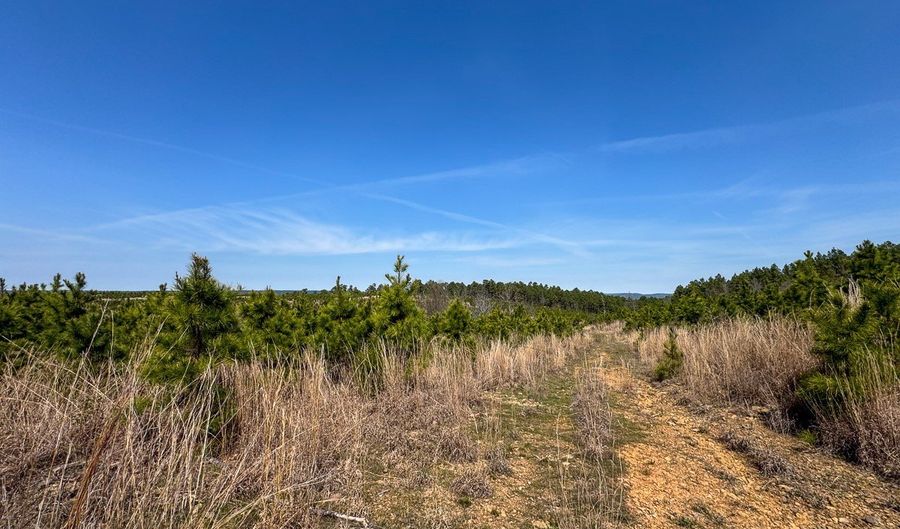 1 N4220, Antlers, OK 74523 - 0 Beds, 0 Bath