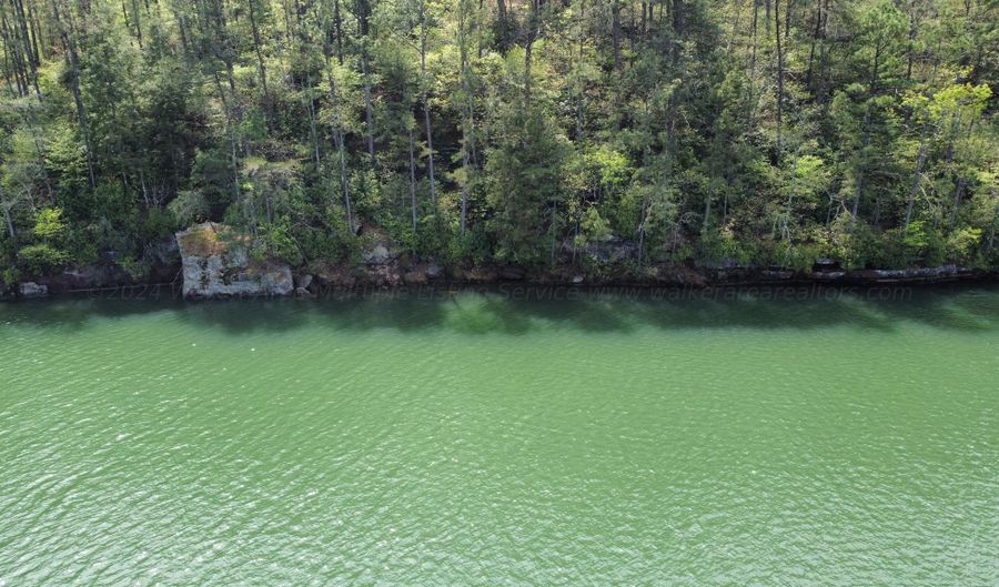 LOT 59 SIPSEY OVERLOOK, Double Springs, AL 35553 - 0 Beds, 0 Bath