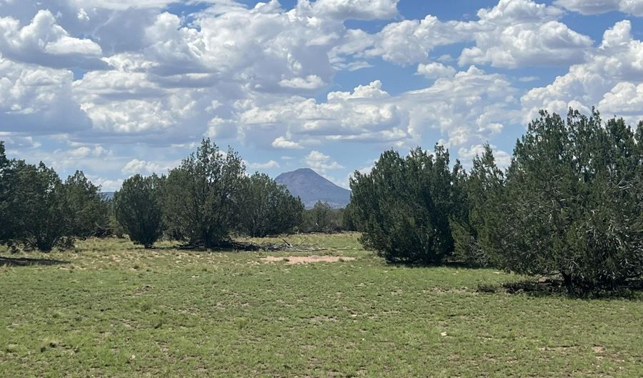 62 Cone Ln, Ash Fork, AZ 86320 - 0 Beds, 0 Bath