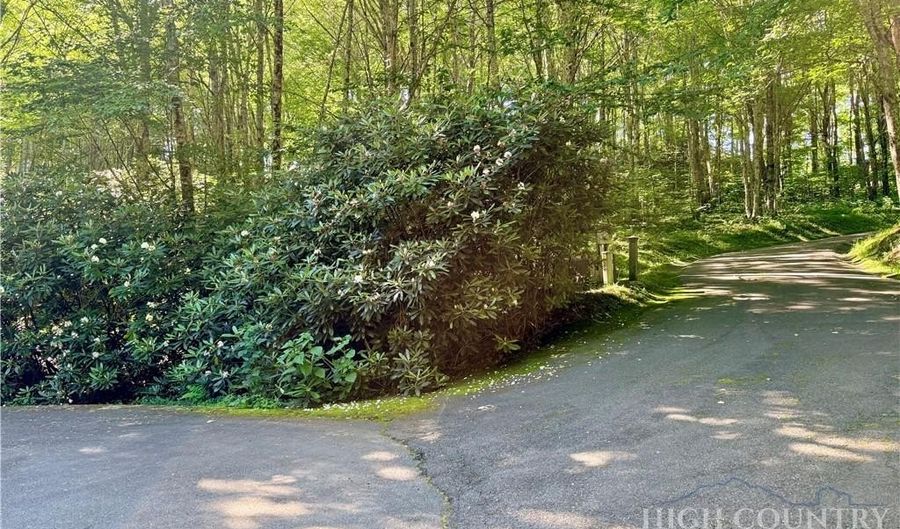 Chestnut Mountain Road, Banner Elk, NC 28604 - 0 Beds, 0 Bath