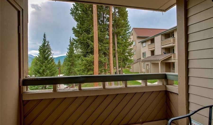 1001 Grandview Dr 11, Breckenridge, CO 80424 - 2 Beds, 2 Bath