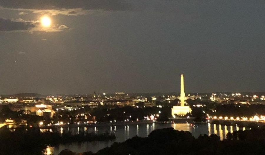 1200 N NASH St 830, Arlington, VA 22209 - 1 Beds, 1 Bath