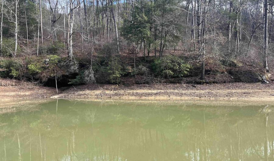 Lot 41 Sipsey Overlook, Double Springs, AL 35553 - 0 Beds, 0 Bath