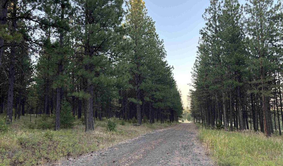 Tbd Harlow Ridge Rd - Cloverland Estates 36 & 37, Asotin, WA 99402 - 0 Beds, 0 Bath
