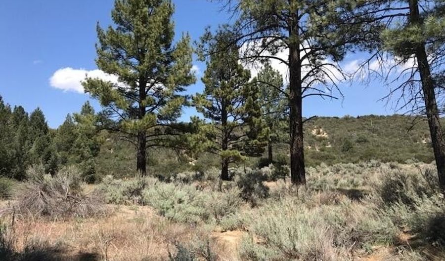 1 Butterfly Peak Rd, Mountain Center, CA 92561 - 0 Beds, 0 Bath