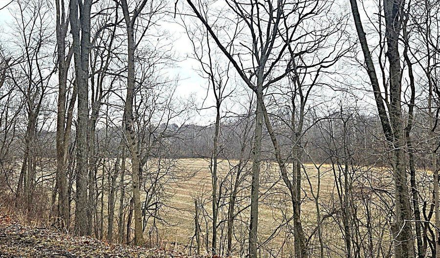 5921 N County Road 500 E, Bainbridge, IN 46105 - 0 Beds, 0 Bath