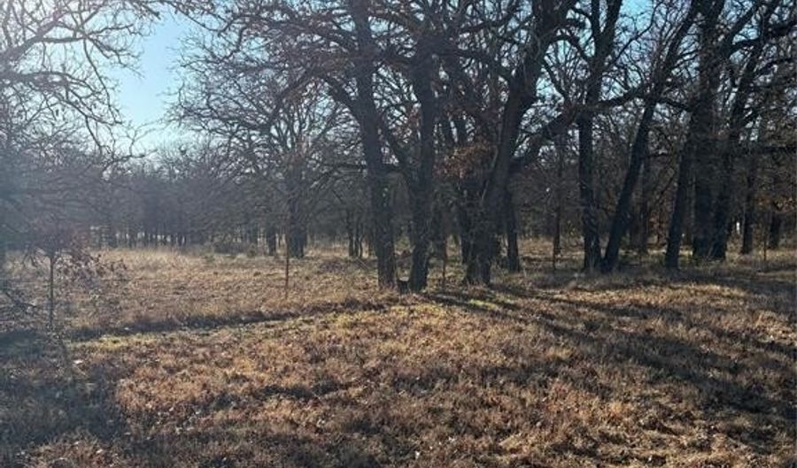 1190 N State HWY 220, Hico, TX 76457 - 0 Beds, 0 Bath