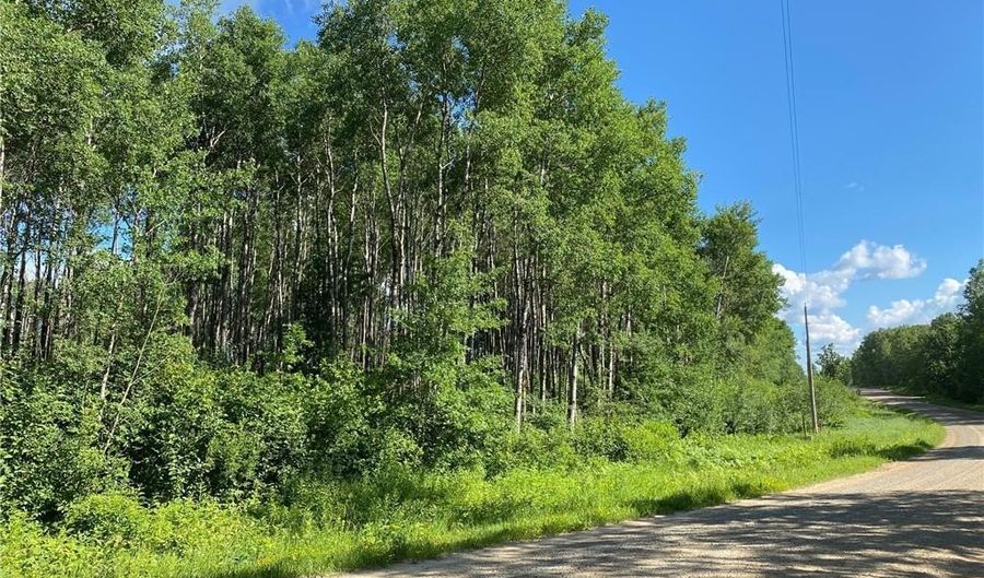 Tbd County 23, Akeley, MN 56433 - 0 Beds, 0 Bath