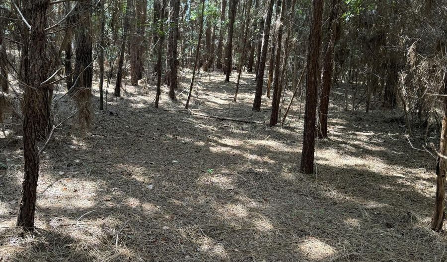 Old Buckhead Road, Bamberg, SC 29003 - 0 Beds, 0 Bath