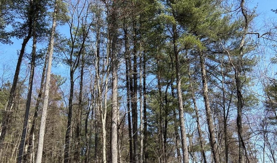 TALLMAN HOLLOW ROAD LOT #4, Montoursville, PA 17754 - 0 Beds, 0 Bath