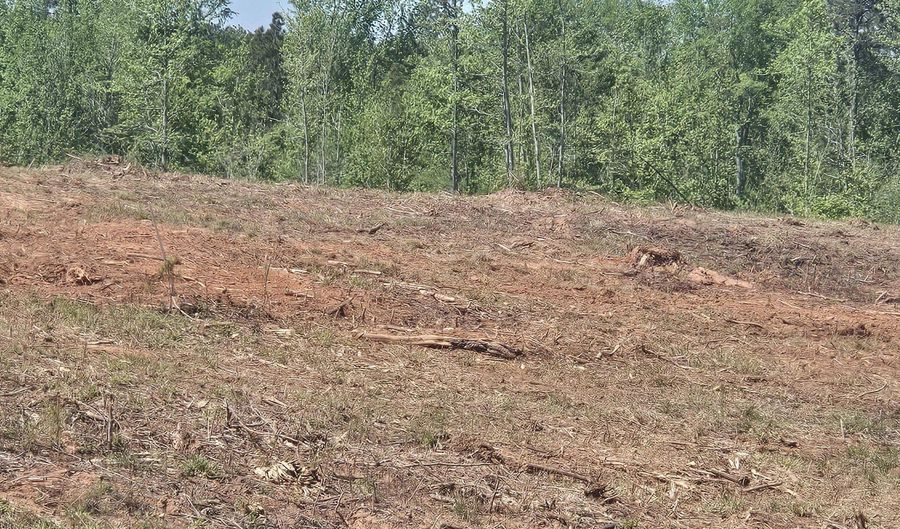 0 Elberton Hwy, Lincolnton, GA 30817 - 0 Beds, 0 Bath