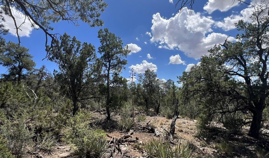 109 Of Twin Fawn Ln, Ash Fork, AZ 86320 - 0 Beds, 0 Bath