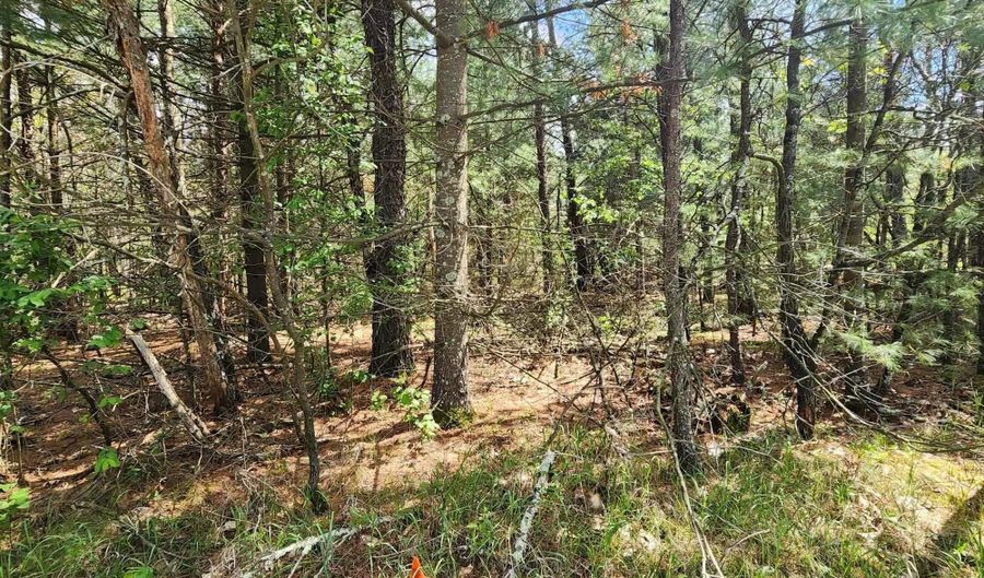 Lot 303 Cypress Drive, Arkdale, WI 54613 - 0 Beds, 0 Bath