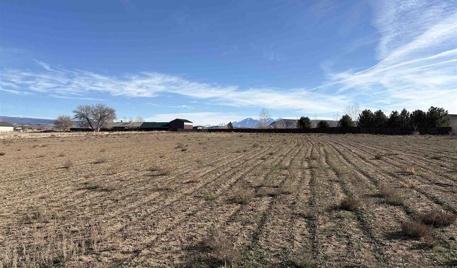 8350 2085 Rd, Austin, CO 81410 - 4 Beds, 3 Bath