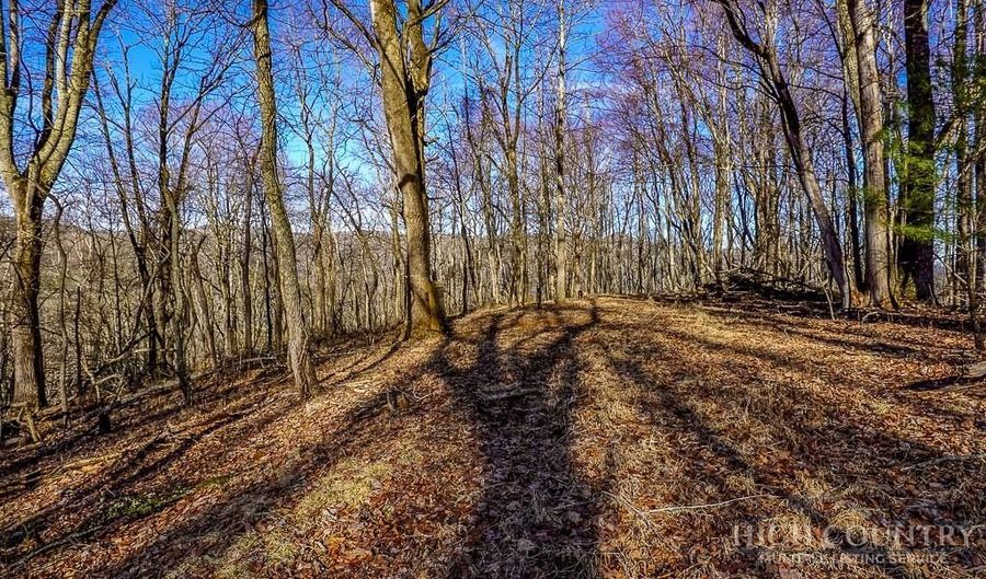 Little Tree Lane, Banner Elk, NC 28604 - 0 Beds, 0 Bath
