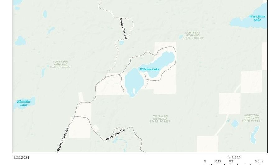 Lot WITCHES LAKE RD, Arbor Vitae, WI 54568 - 0 Beds, 0 Bath