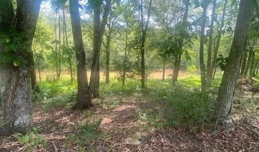 1764 Flatbottom Rd, Ball Ground, GA 30107 - 0 Beds, 0 Bath