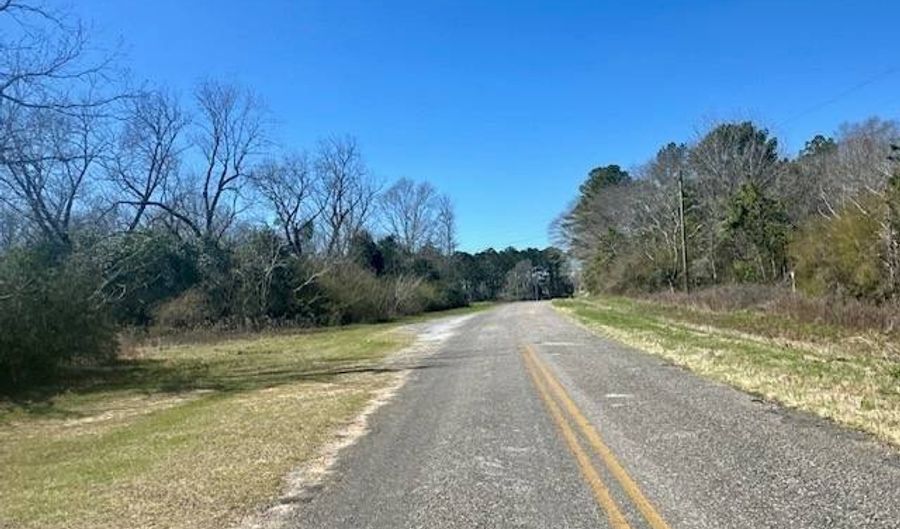 0 Tervin Mill Rd, Andalusia, AL 36421 - 0 Beds, 0 Bath