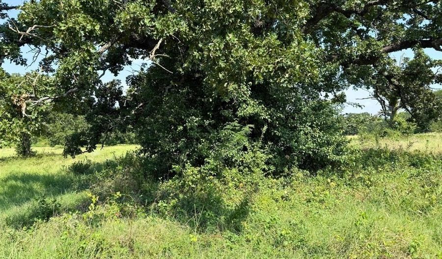 3634 County Road 401b, Alvarado, TX 76009 - 0 Beds, 0 Bath