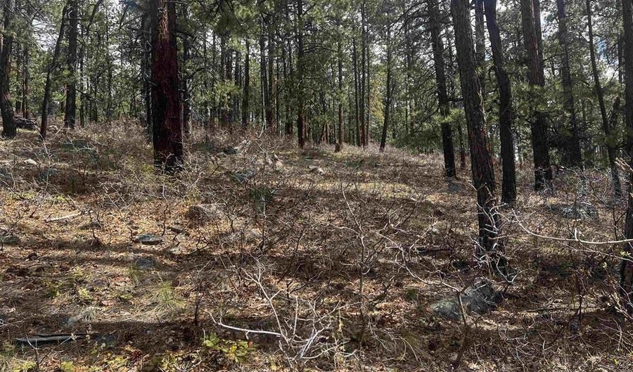 101 Pine Crest Dr, Bayfield, CO 81122 - 0 Beds, 0 Bath