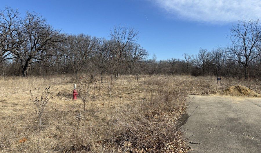 Chippewa Trail lot 130 & Lot 131, Albany, IL 61230 - 0 Beds, 0 Bath