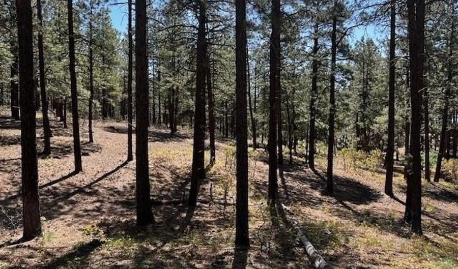 221 Badger Rd, Bayfield, CO 81122 - 0 Beds, 0 Bath