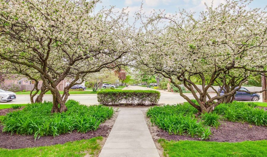 809 E Miner St 3B, Arlington Heights, IL 60004 - 1 Beds, 1 Bath