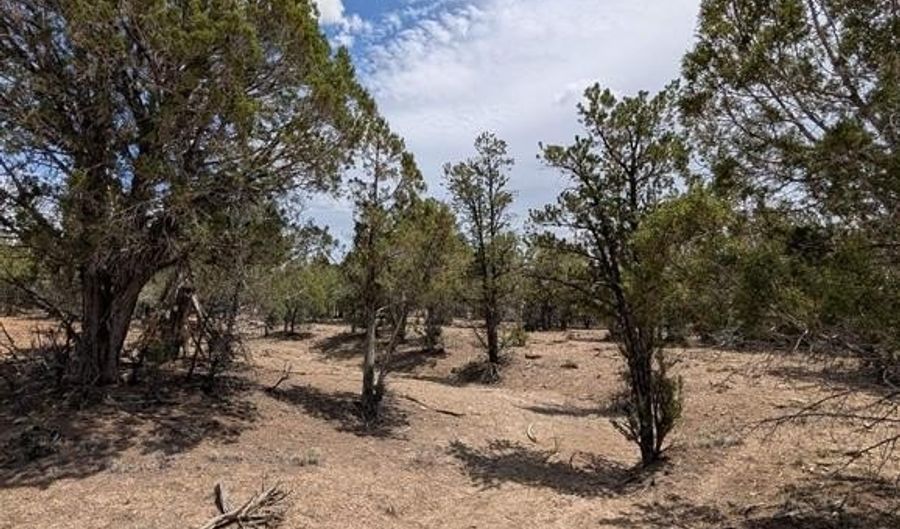 160 Cedar Dr, Arboles, CO 81121 - 0 Beds, 0 Bath