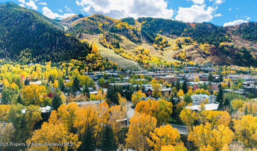 725 E Main St 309, Aspen, CO 81611 - 2 Beds, 1 Bath