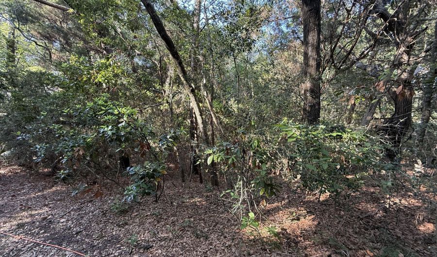 53 Fort Holmes Trl Lot 712, Bald Head Island, NC 28461 - 0 Beds, 0 Bath