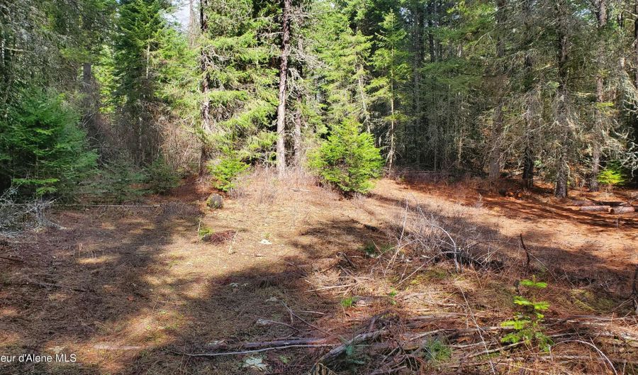 NKA Collins Road, Athol, ID 83801 - 0 Beds, 0 Bath