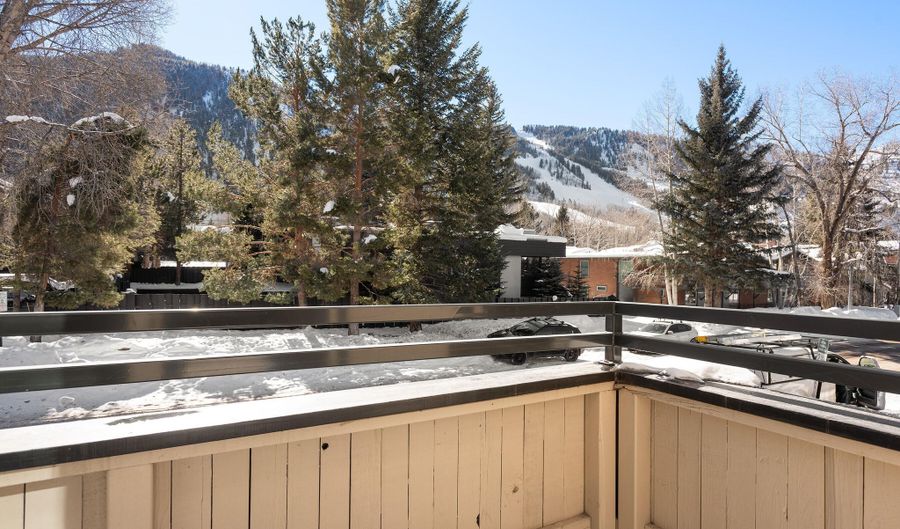 1024 E Cooper Avenue 3A, Aspen, CO 81611 - 3 Beds, 2 Bath
