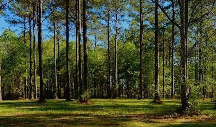 212 Dawson Creek Blvd Lot 87, Arapahoe, NC 28510 - 0 Beds, 0 Bath